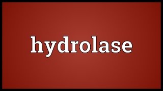 Hydrolase Meaning [upl. by Tiebout]