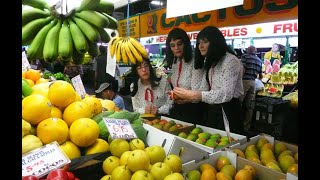 The Kransky Sisters come to Adelaide with A Cracker Kransky Christmas 30 Nov 2024 [upl. by Marna145]