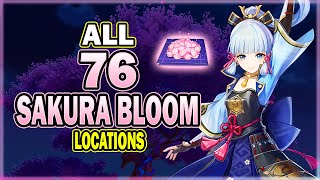 All 76 Sakura Bloom Locations  Efficient Farming Route  Ayaka Ascension Material  Genshin Impact [upl. by Seyer]