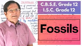 What Are Fossils  Grade 12 Biology [upl. by Harcourt]