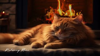 Fireplace Sound  Peaceful Scene With Kittens  Relaxing Sound Helps Sleep Well Cures Insomnia [upl. by Micro]