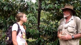 Growing Durian on the Tatura Trellis [upl. by Bobby]