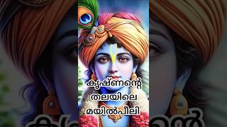 ഭഗവാൻ കൃഷ്ണൻ മയിൽ‌പീലി അണിയിരുന്നതിന്റെ കാരണം india shorts shortvideo [upl. by Sherris]