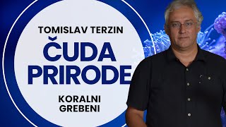 ČUDA PRIRODE 1 Koralni grebeni prof dr Tomislav Terzin [upl. by Belter]