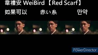 WeiBird【Red Scarf】ChineseJapaneseKorean song comparison [upl. by Ty]