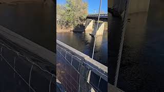 Buchanan Swinging Bridge in Buchanan VA tga taylorsgrandadventures walkintosuccess virginia [upl. by Shlomo750]