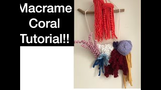 Macrame Chalice Coral Tutorial [upl. by Ecirum727]