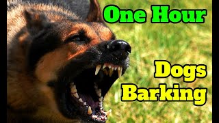 Dogs Barking for One Hour  barking sounds for 60 minutes of different breeds of dogs [upl. by Llenhoj]