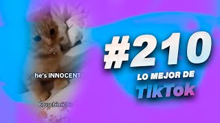 Lo MEJOR de PABLO BRUSCHI en TIKTOK 210 [upl. by Eive361]