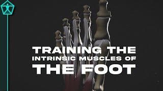 How to Train Your FOOT MUSCLES  For Speed Agility and Injury Prevention [upl. by Frederiksen]