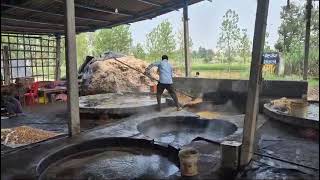 Sugar Carmel Jaggery making from Sugar cane in India [upl. by Barnebas734]