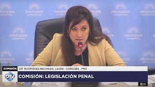 COMISIÓN COMPLETA LEGISLACIÓN PENAL  23 de octubre de 2024  Diputados Argentina [upl. by Hadias]