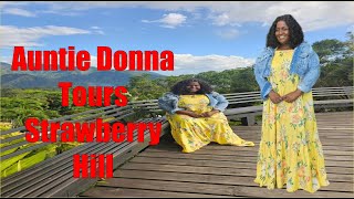 Auntie Donna tours strawberry hills [upl. by Loella]