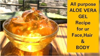 अपने घर पर ही ALOE VERA GEL जेल तैयार कीजिए Aloe Vera All Purpose GelAloe Vera Gel Dr Shalini [upl. by Romonda]