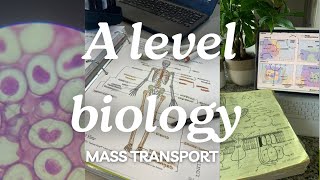 A level biology edexcel a SNAB Topic 1 Mass Transportation [upl. by Florenza687]