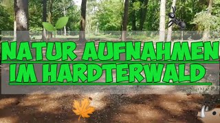 Hardterwald in Mönchengladbach Part 1 [upl. by Ardiek]