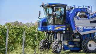 Vendemmia 2018🍇🍷  2 x New Holland Braud 9080L  MORETTO [upl. by Niwroc]