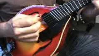 Gibson 5 string jazz mandolin with fanned frets 2 [upl. by Siekram]