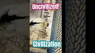 Uncivilized Civilizations  MrTodayAnalysis  MrTodayAnimals [upl. by Ecyak554]