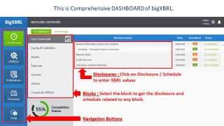 XBRL tutorials  Simplified Taxonomy  bigFiling [upl. by Dragoon840]