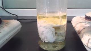 High concentration silver nitrate and Hydrochloric acid [upl. by Divaj]