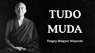 Yongey Mingyur Rinpoche  Tudo Muda [upl. by Nitsoj578]