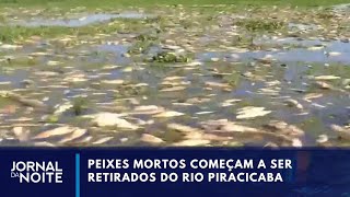 Peixes mortos no Rio Piracicaba usina é multada em R 18 milhões  Jornal da Noite [upl. by Gredel224]