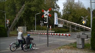 Spoorwegovergang Gronau D  Railroad crossing  Bahnübergang [upl. by Teik]