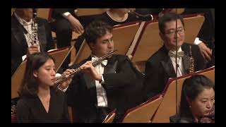 Bartolomeo Audisio  A Dvořák Symphony n8 flute solo [upl. by French424]