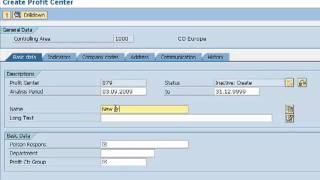 Define and Active Profit Center [upl. by Niryt]