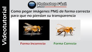 Como pegar imágenes Png sin fondo sin perder la transparencia Photoshop [upl. by Groark]