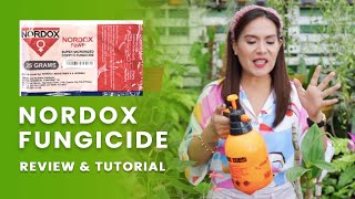 Nordox Fungicide Review and Tutorial for Phalaenopsis  Super Micronized Copper Fungicide [upl. by Etteniotna202]