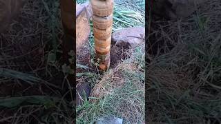 Borewell Pump Installation 6hp motor 6stage 120ft shorts shortsvideo trending [upl. by Othilia]