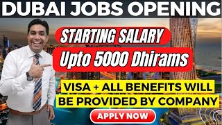 High Salary Jobs In Dubai Apply Now [upl. by Rim206]