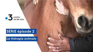 La thérapie animale  les formations [upl. by Jenks]