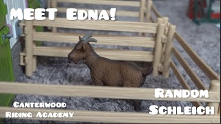 MEET EDNA  Canterwood Riding Academy  Random Schleich [upl. by Kappel381]