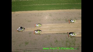 5 Claas combine harvesters together  5 Claas pikdorsers samen  Hertigers Loonwerken Tongeren [upl. by Brown]