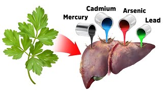 The Best Strategy for Detoxifying Heavy Metals SAFELY [upl. by Kenneth]