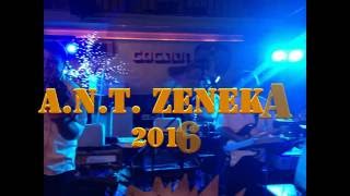 Húzzátok cigányok hosszú mulatós egyveleg A N T zenekar 2016  élő [upl. by Dorita]