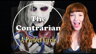 Redhead Reaction to A Perfect Circle  The Contrarian Lyrics HQ [upl. by Athalia]