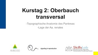 Vorklinischer Sonographie Kurs 2 Oberbauch transversal [upl. by Pokorny374]