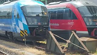 3 Regionalzüge und ein Güterzug in Aschaffenburg Hbf [upl. by Hgiellek890]