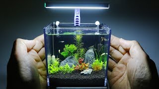 The Worlds Smallest Plant Aquarium 1 [upl. by Olds]