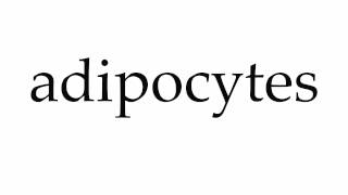 How to Pronounce adipocytes [upl. by Hendrik]