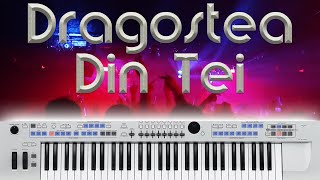 Dragostea Din Tei  OZone  Keyboard Cover [upl. by Ahsilem813]