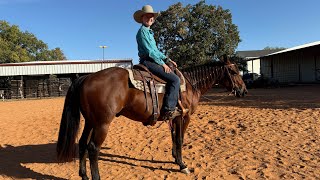 Kip  Green Horse WT  Amanda Backlund  Ranch Pleasure 🍂 [upl. by Omar]