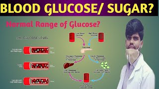 What is blood Sugar Or blood glucose Lecture in hindi by diagnostic cetre [upl. by Fidele939]