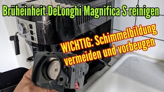 Delonghi Magnifica S Brühgruppe reinigen und Schimmel vermeiden und vorbeugen [upl. by Adnawed305]