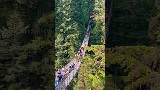 Capilano Suspension Bridge Vancouver [upl. by Aneet132]