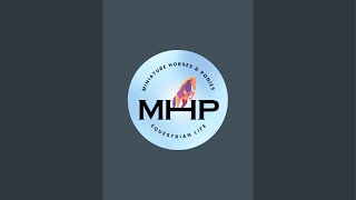 MHP Equestrian Videos is live [upl. by Akiehs]